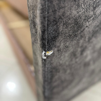 WhatsApp Image 2025-02-13 at 13.48.08 (1)