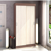 Шкаф-купе Евро (Ясень шимо темный/Ясень шимо светлый)