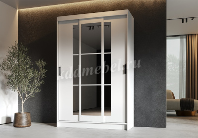 Шкаф-купе Бруно-2 (Белый)