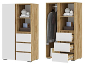 Шкаф Хелен ШК 03 (Крафт золотой/Белый)