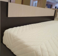 IMG-20220111-WA0086 IMG-20220111-WA0086