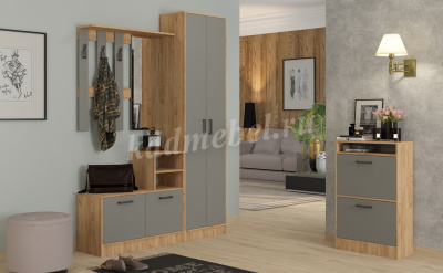 Шкаф для одежды Энтер (Дуб золотой/Серый)