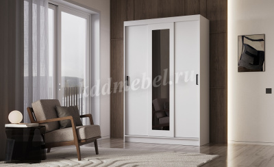 Шкаф-купе Бруно-5 (Белый)